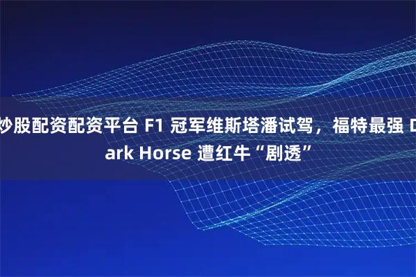 炒股配资配资平台 F1 冠军维斯塔潘试驾，福特最强 Dark Horse 遭红牛“剧透”