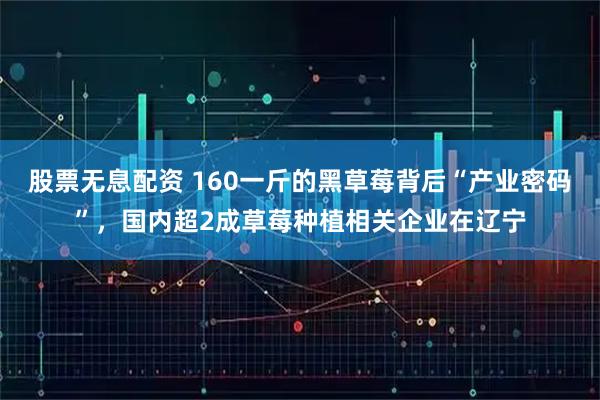 股票无息配资 160一斤的黑草莓背后“产业密码”，国内超2成草莓种植相关企业在辽宁